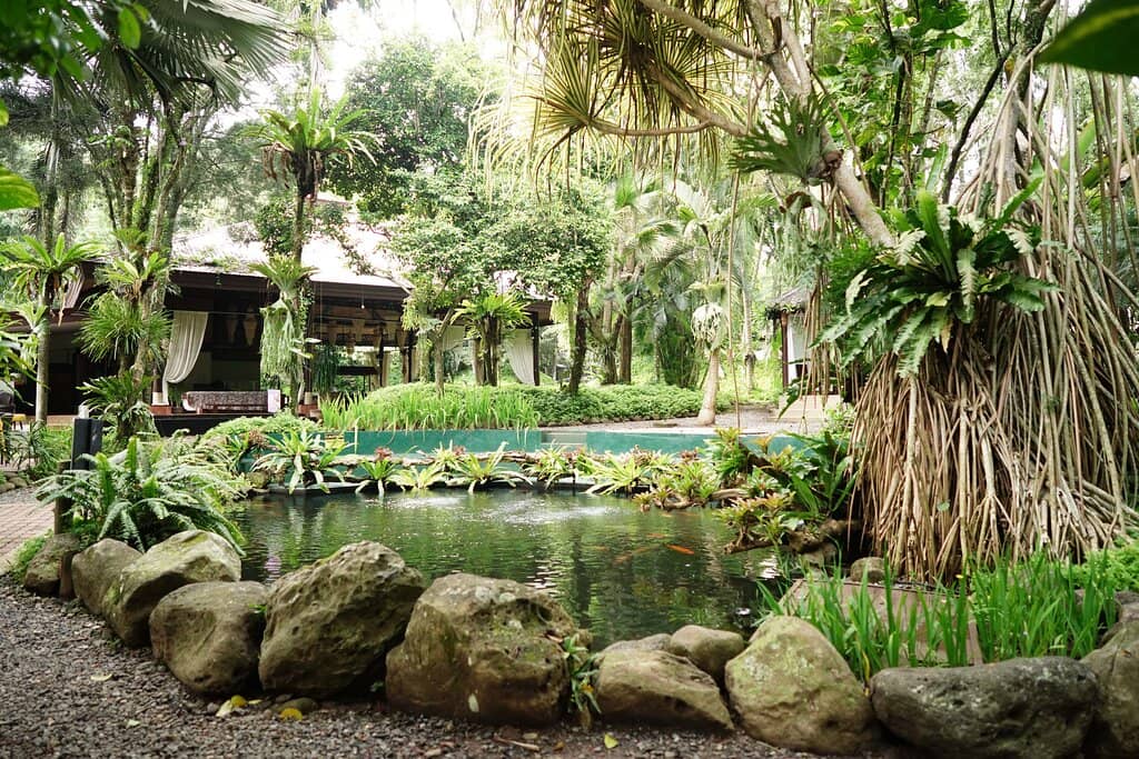 Petting Zoo & Animal Feeding