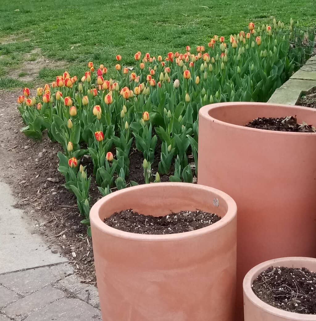 Haunted Amusement Park (WV)