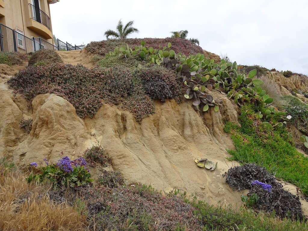 Scenic Hiking Trails