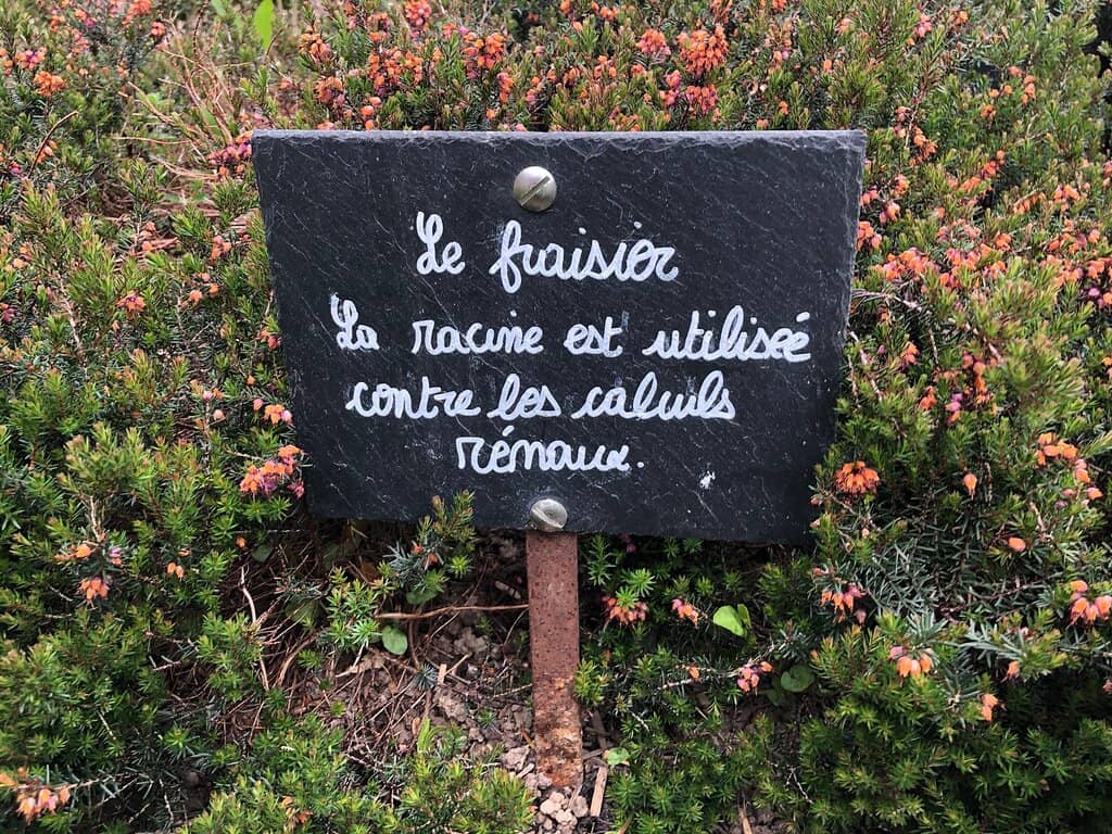 Historic Attic Timbers