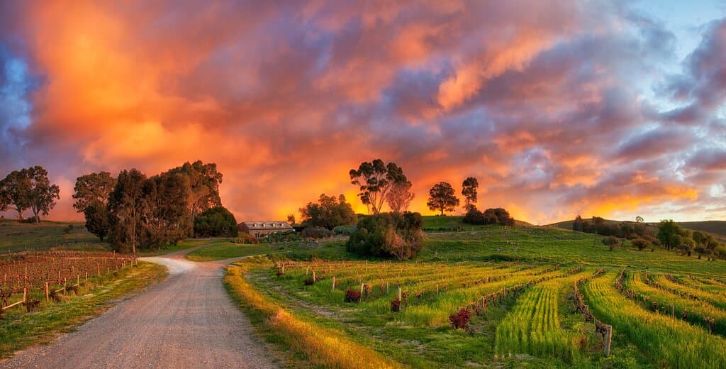 Sunset at Bethany Cellar Door