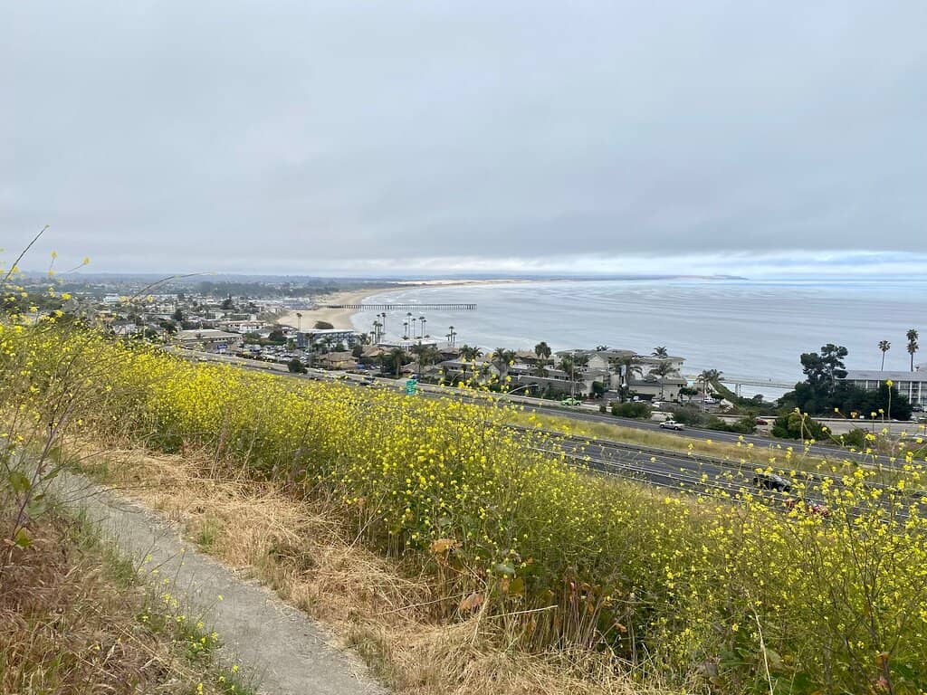 Spring to Spring Trail