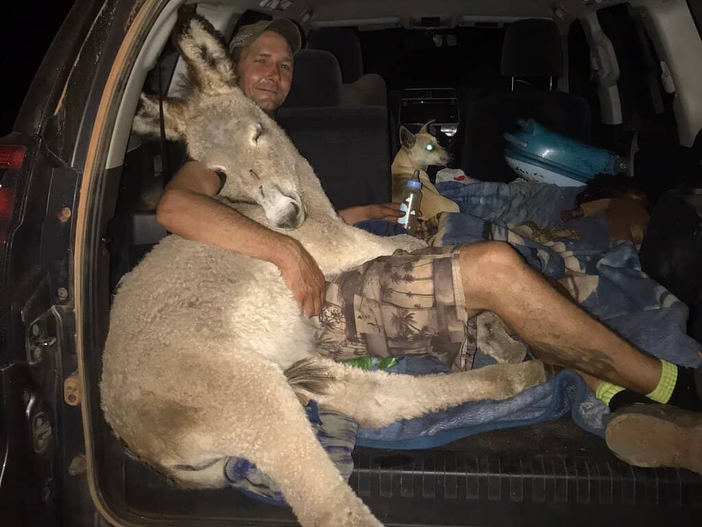 National Falls & Hovea Falls