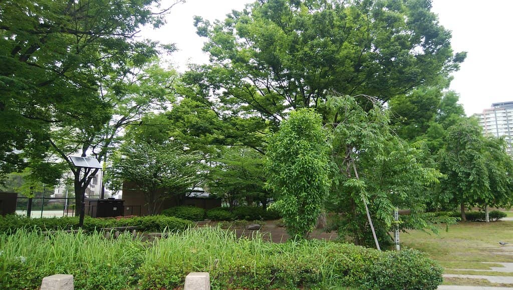 Sumida River Promenade