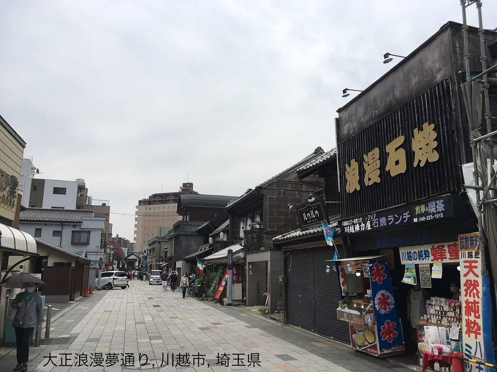 Koinobori Carp Streamers
