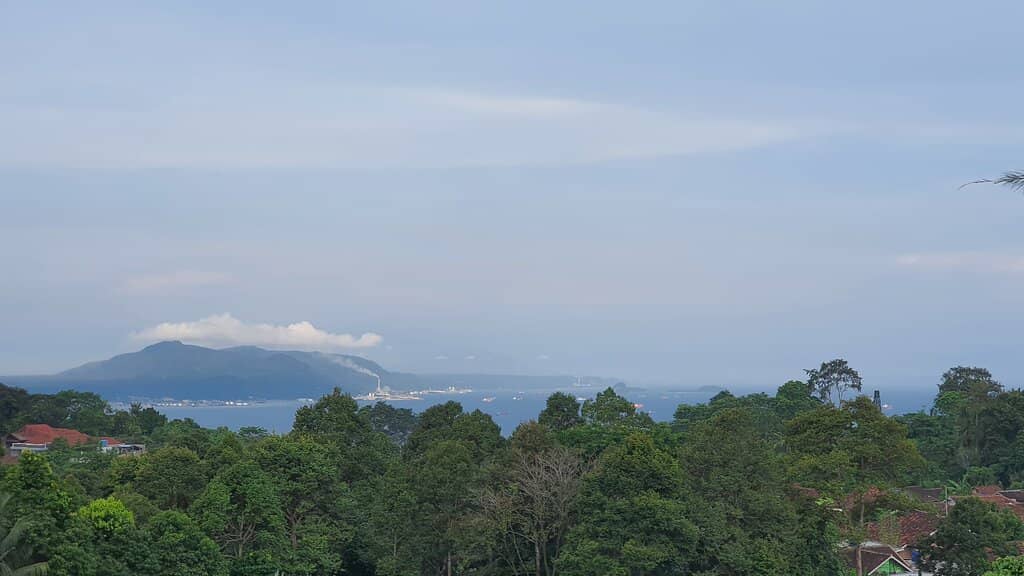 Tea Plantations