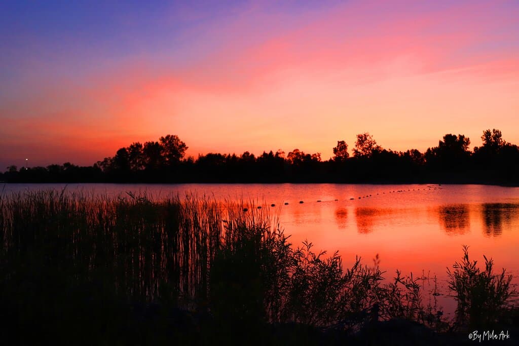 Guelph Lake Conservation Area Picture by Mila Ark