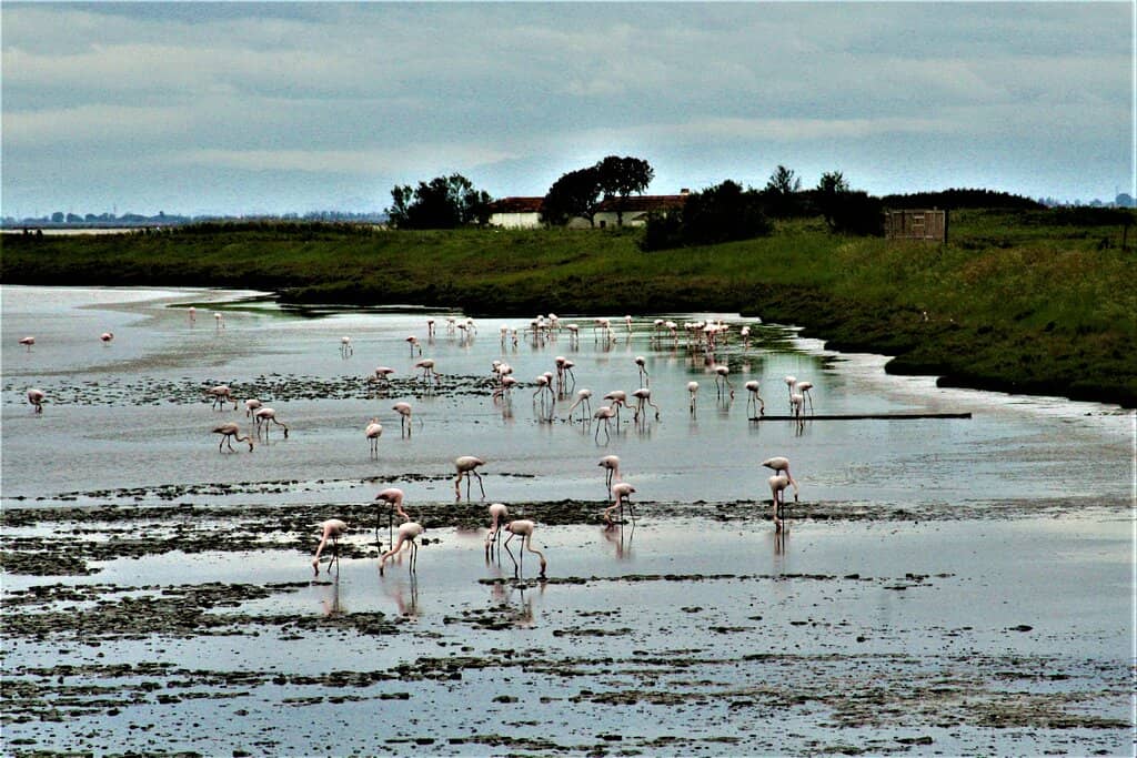 Argine degli Angeli Cycle Route
