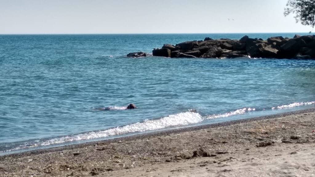 Nature Trails Galore