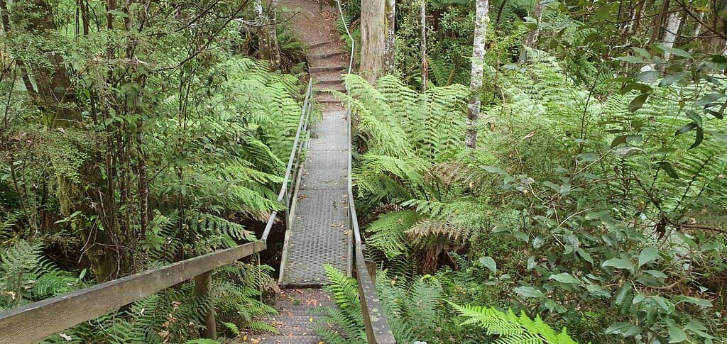 The Grand Staircase