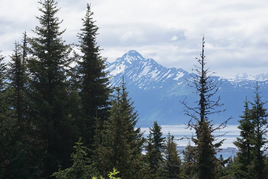 Kachemak Bay