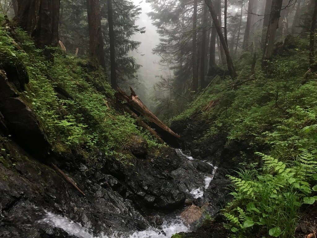 Crossing streams and waterfalls on the Starrigavan Ridge Trail.