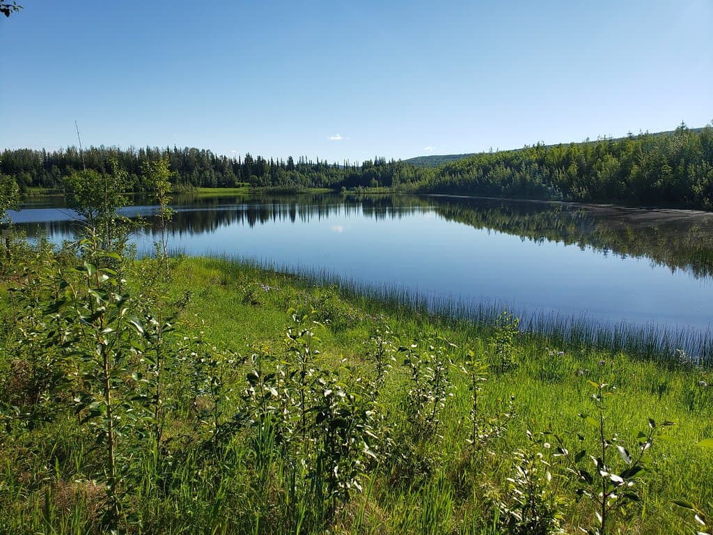 lac 2