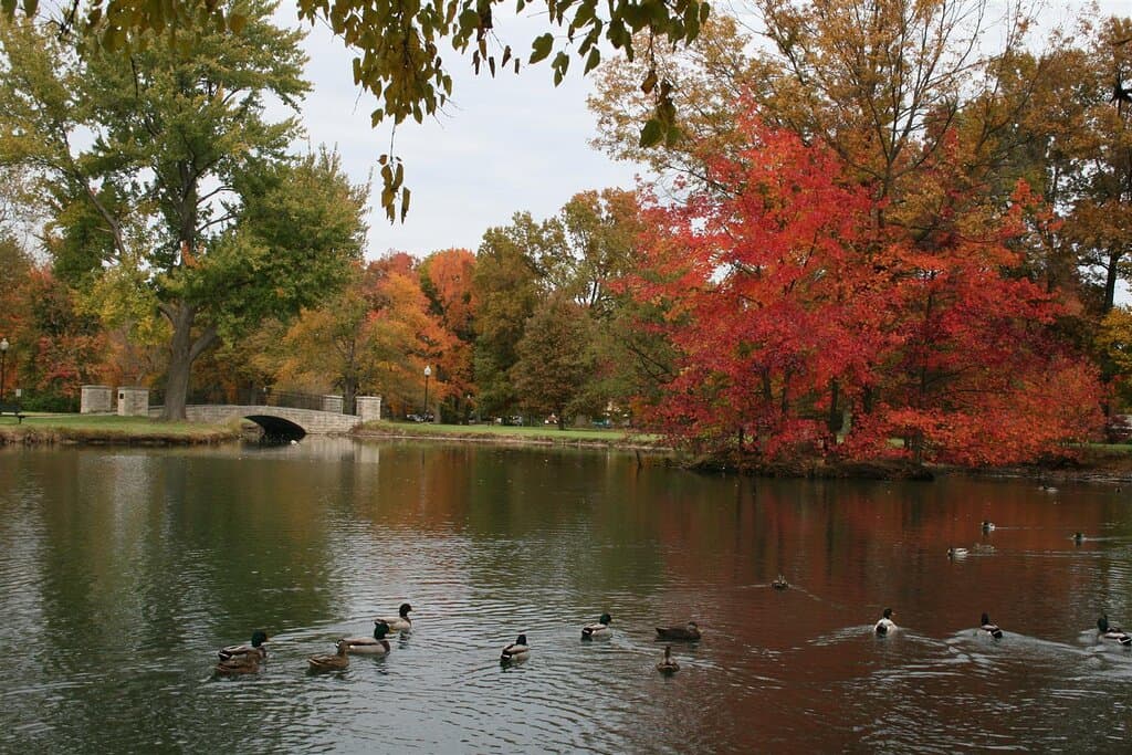 Peaceful, Beautiful, Family fun