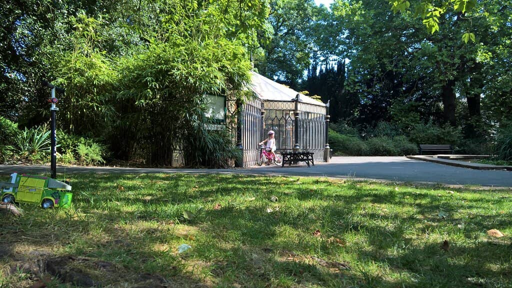 The Illuminated Enchanted Forest