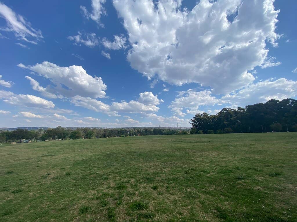 Picnic Paradise