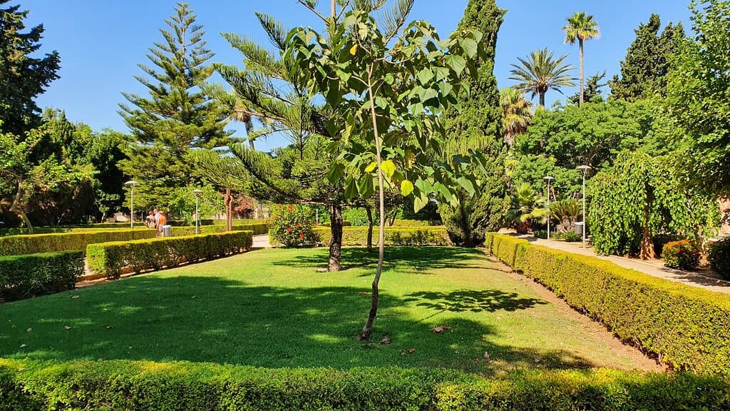 Torrecremada Park