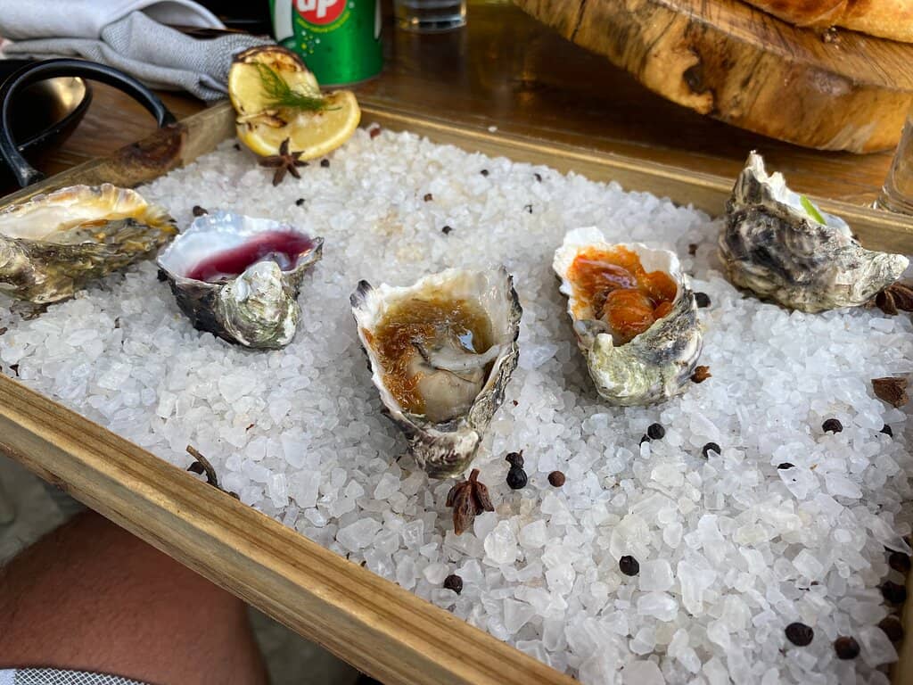 Oysters