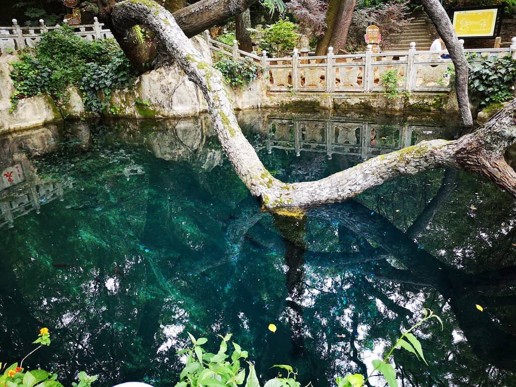 Tranquil Walking Trails