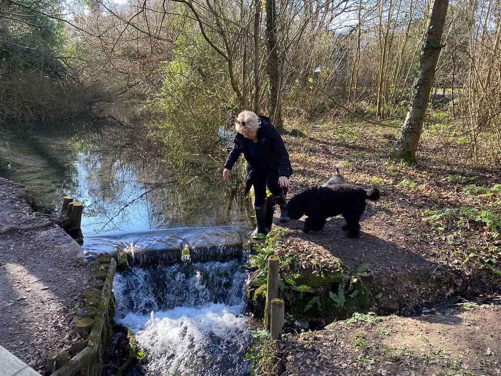 Picnic Spots