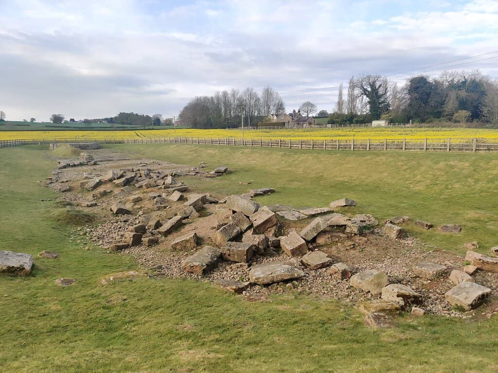 Peaceful Field Setting