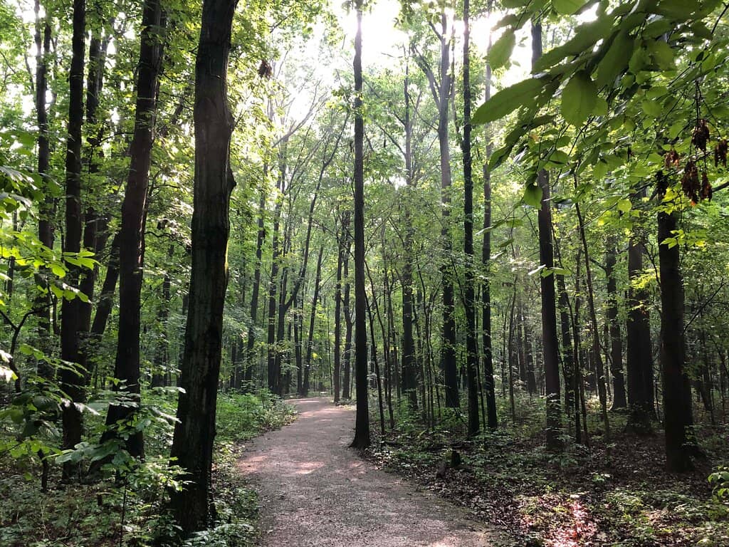 Interactive History Presentation