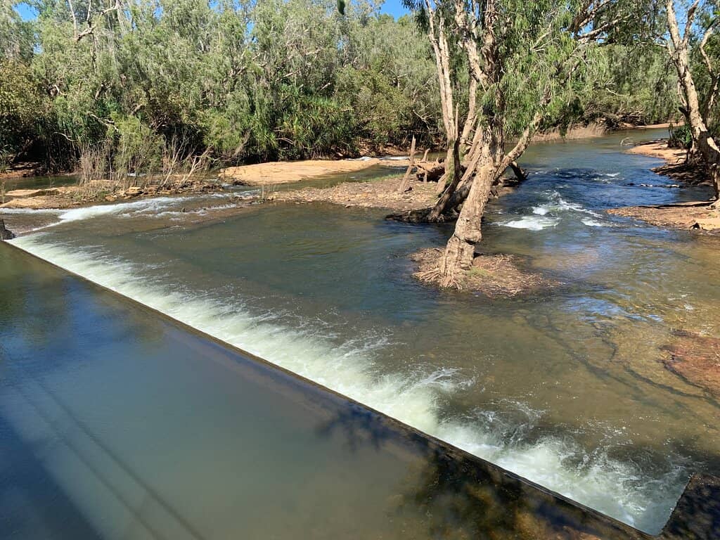 Family Picnic Spot