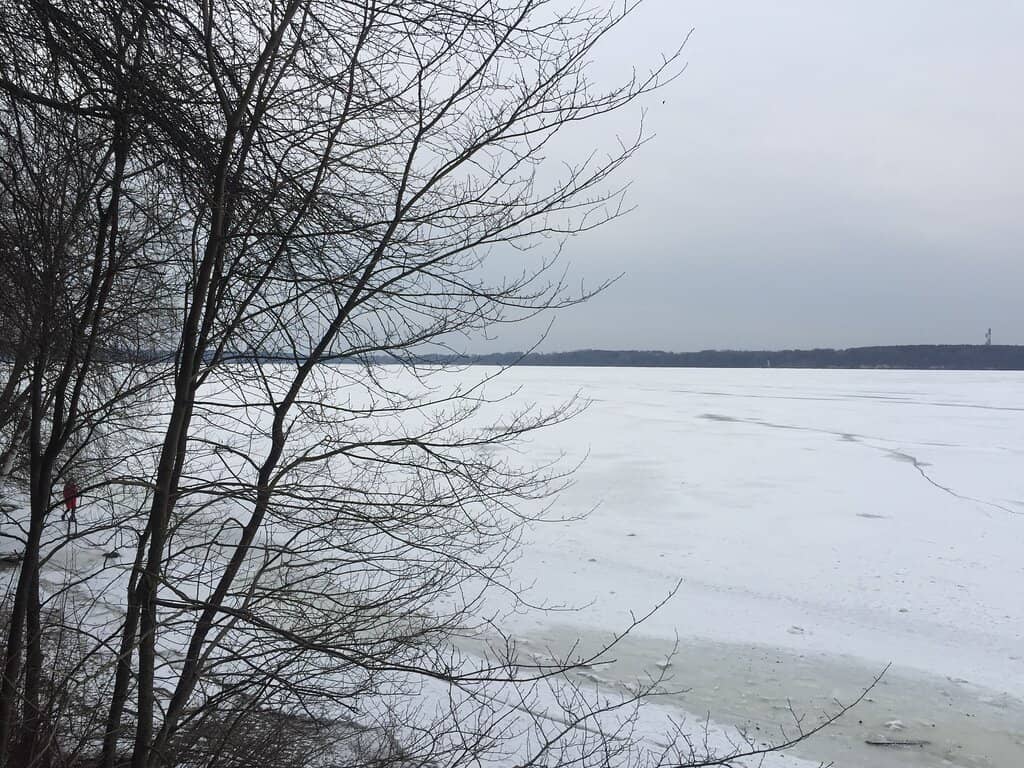 Užgavėnės Carnival