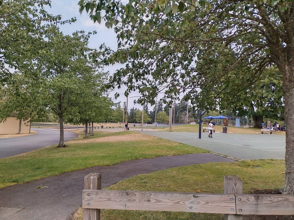 Shady Picnic Hill