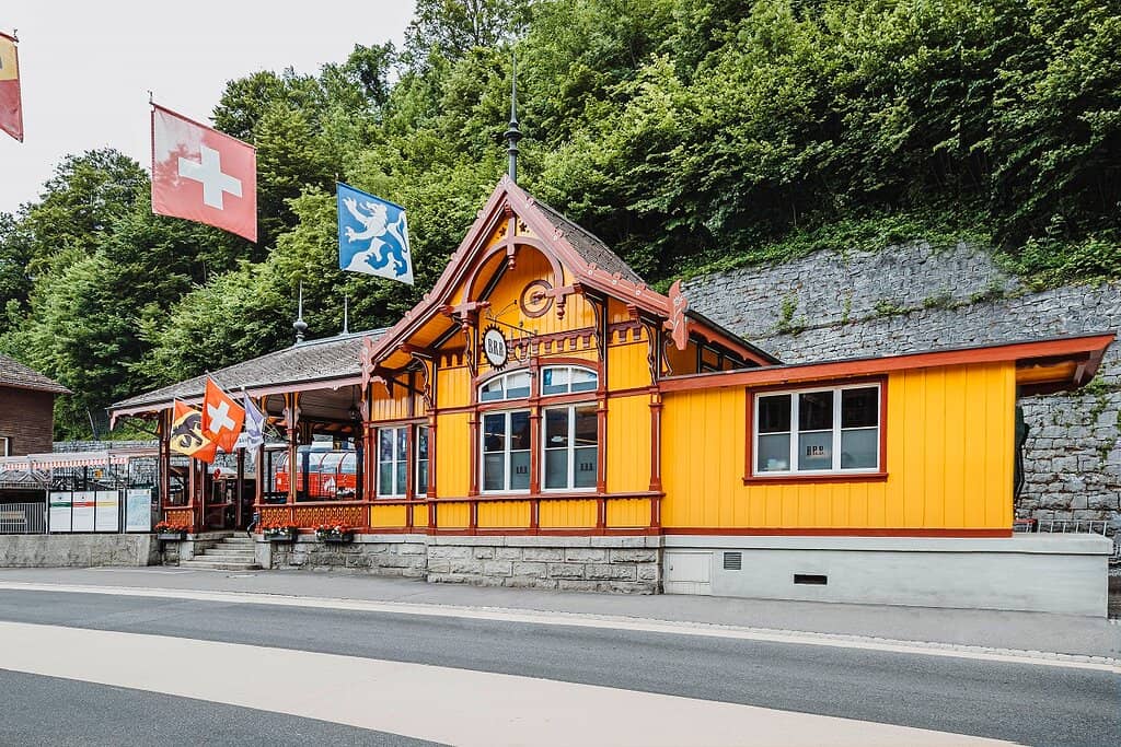 Alpine Wildlife Spotting