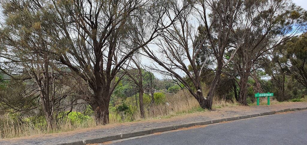 Picturesque Lake Views
