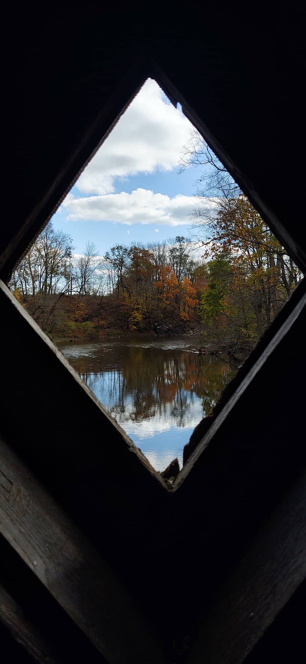 Vertical photo