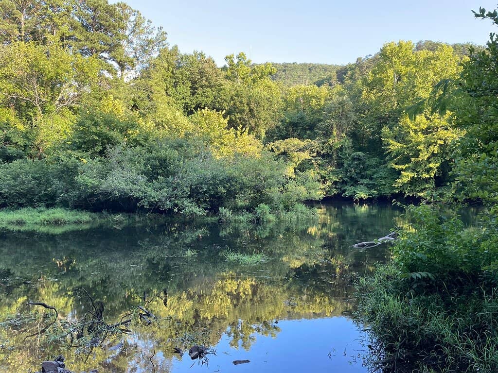 Scenic Hiking Trails