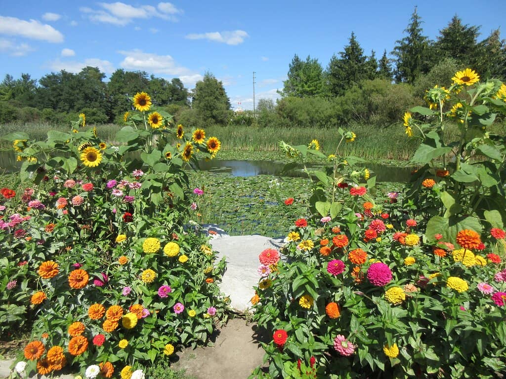Splash Pad & Playgrounds