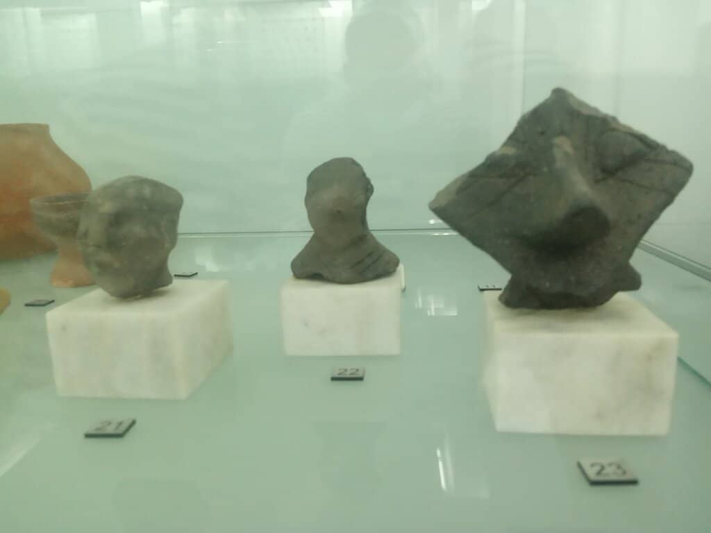 Friendly Receptionist's Insights