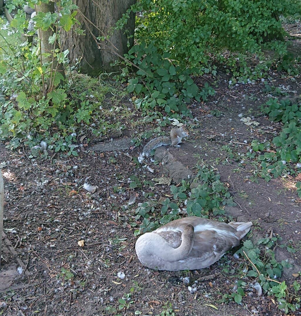 The Mysterious Bunker