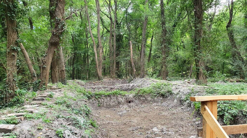 Birdwatcher's Paradise