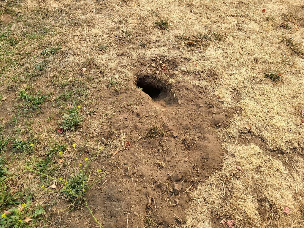 Paved Trails to Town