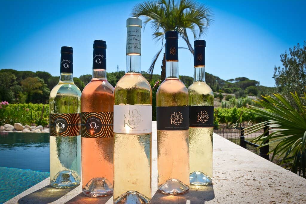 Drone Views of the Vineyard