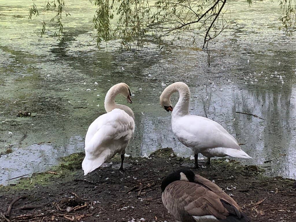 Picnic Areas & Green Spaces