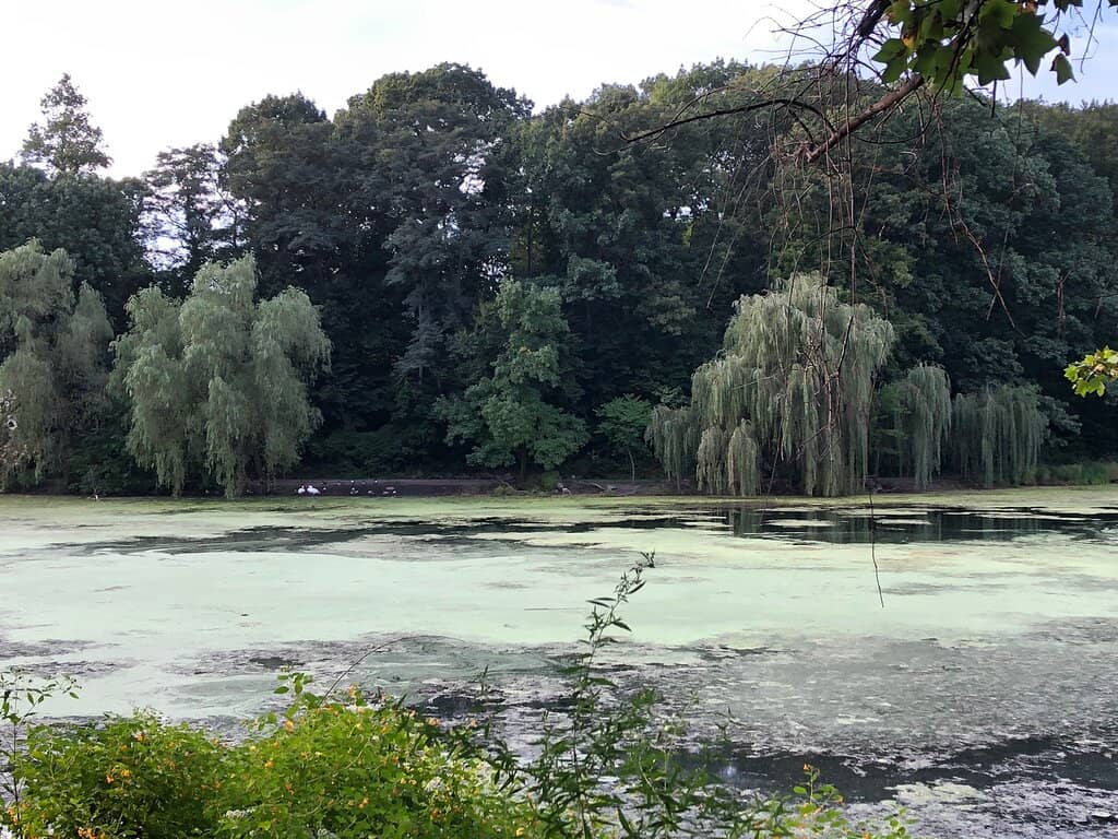 Playgrounds & Outdoor Recreation