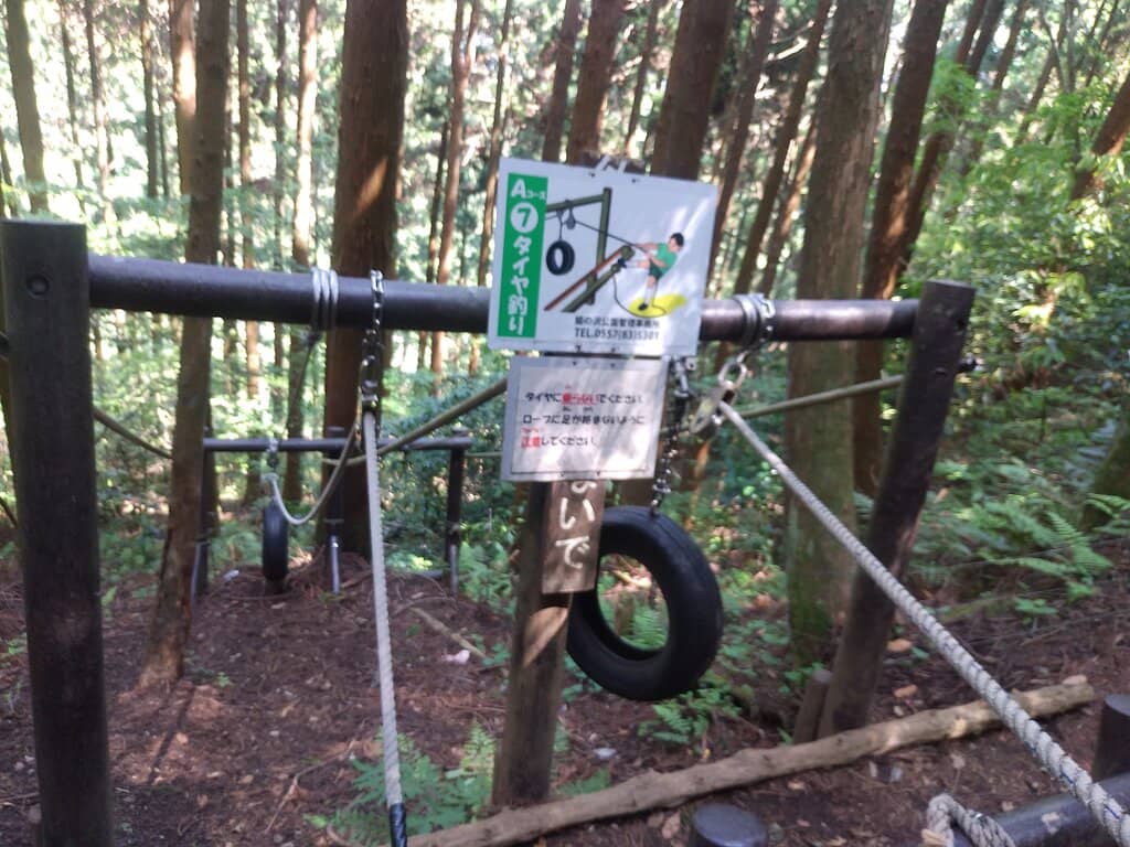 Mount Fuji & Sagami Bay Vistas