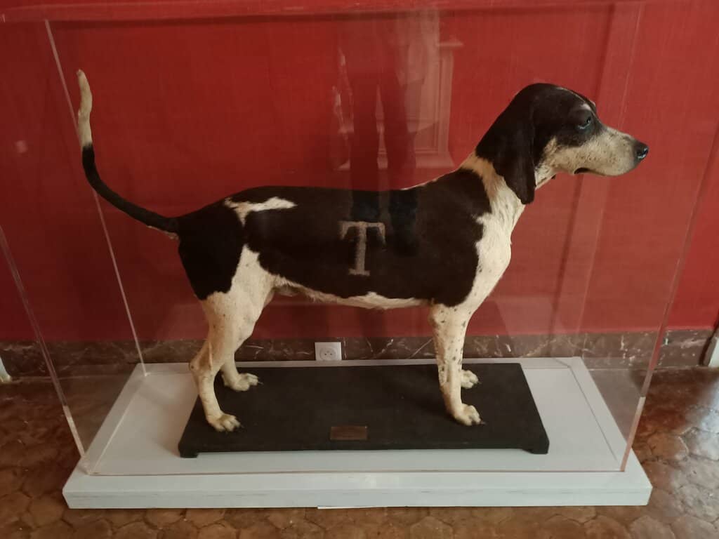 Art and Objects