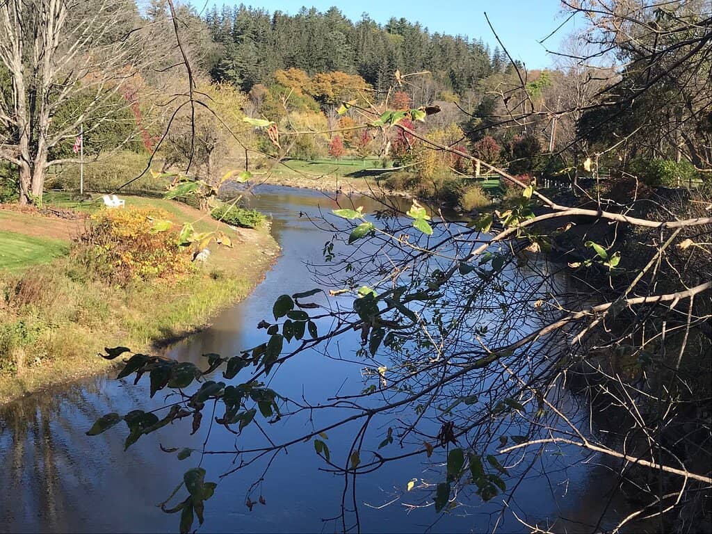 Downtown Woodstock Stroll