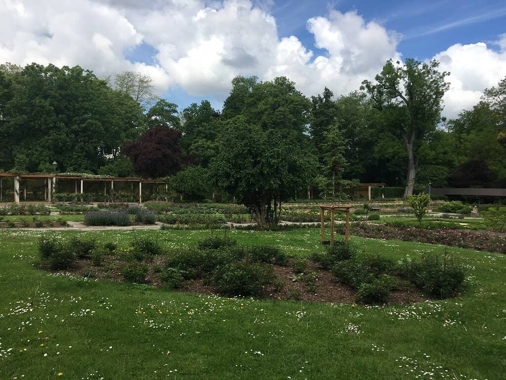 The Enchanting Rose Garden