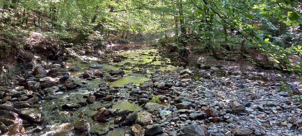 Hiking trail along the river leading up to the waterfall