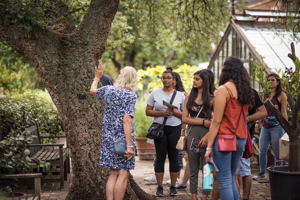 The Pharmaceutical Garden