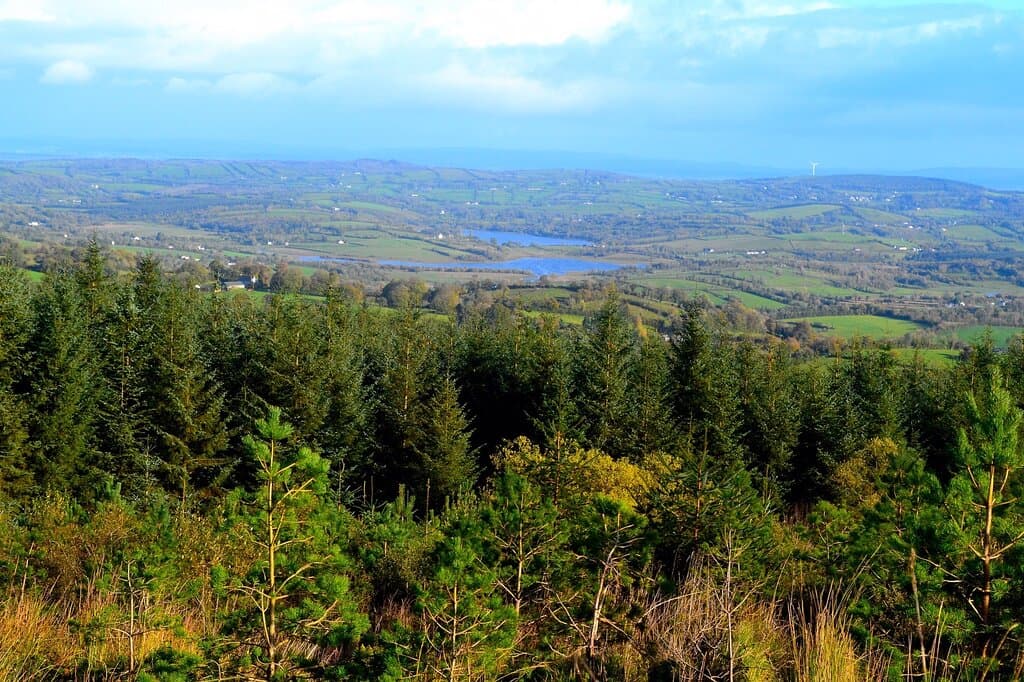 Belmore Forest and Pollnagollum Cave