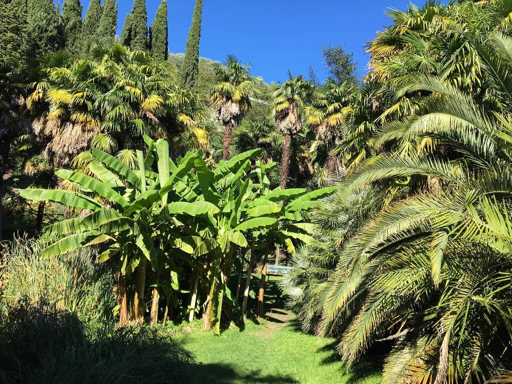 Guided Plant Discoveries