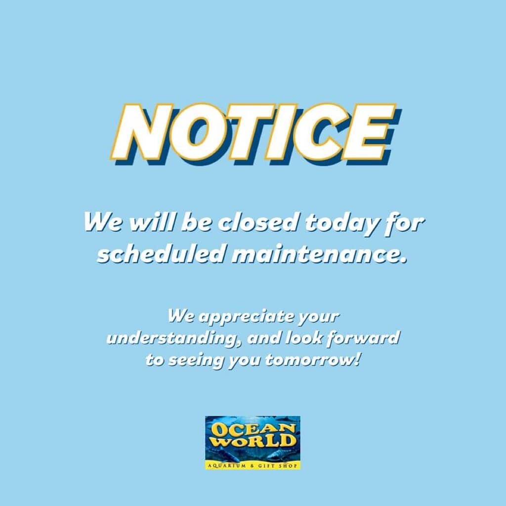 Sea Lion & Seal Show